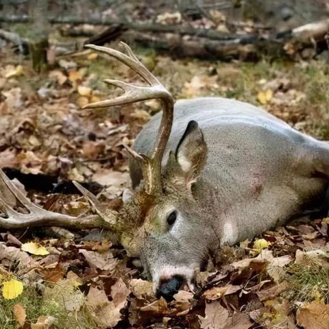 僵尸狂逃廊：极限生存大挑战