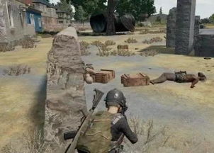 《绝地求生》国服内测招募高玩，体验全新竞技盛宴！