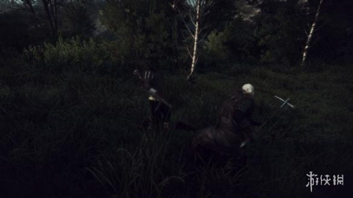 《巫师3》MOD升级：角色伤害真实度革新，体验极致战斗快感