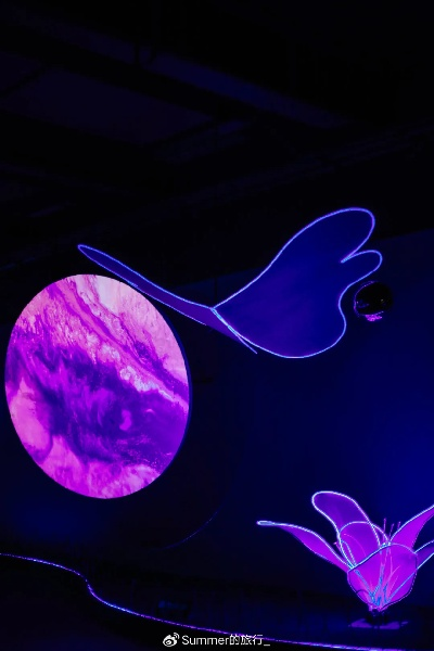 《NitorInc.：微观幻境，超凡动作，畅玩休闲新体验》