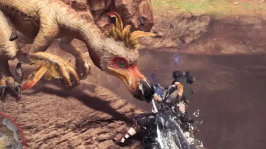 搔鸟新发现:偷蛋怪猎奇遇记 搔鸟新发现:偷蛋怪猎奇遇记