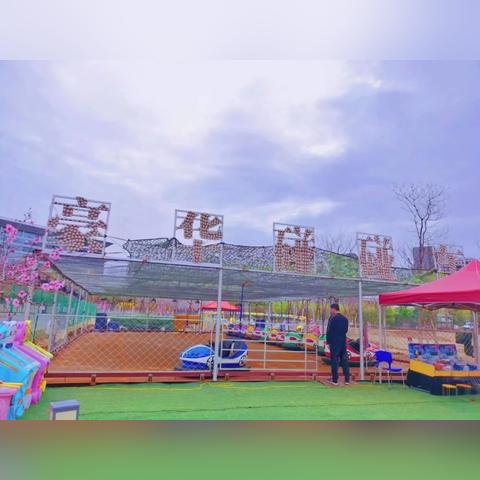 云端萌宠狂热，最贵猫咪成交价突破10万美元！