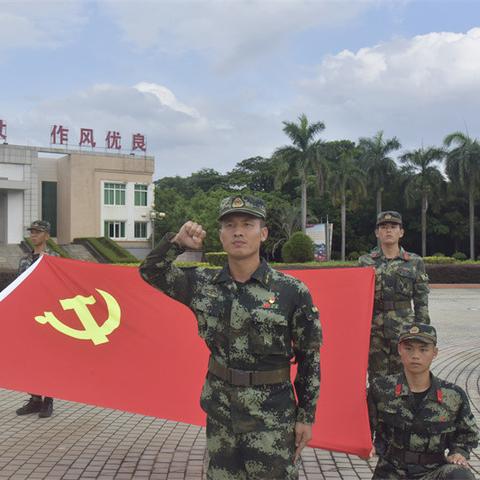 铁血联盟重生：战略再启，荣耀新篇