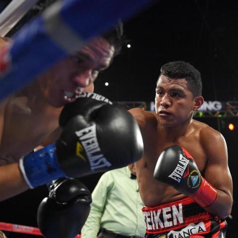 《杀手6》Xbox One X独家升级，4K画质革新体验震撼来袭