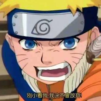 忍者猫养成秘籍：心之传承Plus新篇章