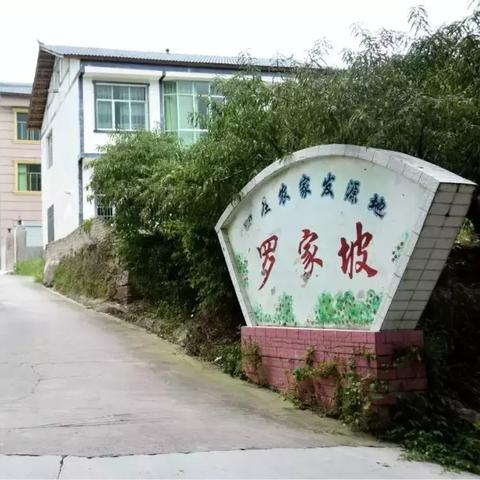 《真三国无双8》64将新颜大揭秘，超越《真三国无双7》视觉盛宴