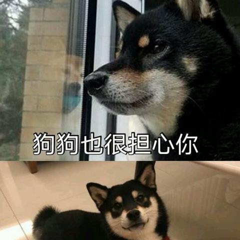 《命运方舟》女狂必入时装，盘点时尚潮流新宠