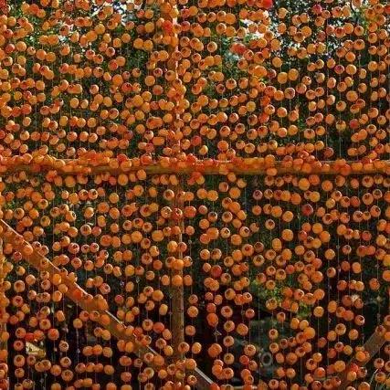 《心动小镇》独家兑换码8月16日限时揭晓！