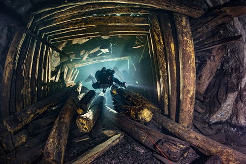 黑色幽默探秘,达奇威尔城堡惊悚新篇章 黑色幽默探秘,达奇威尔城堡惊悚新篇章