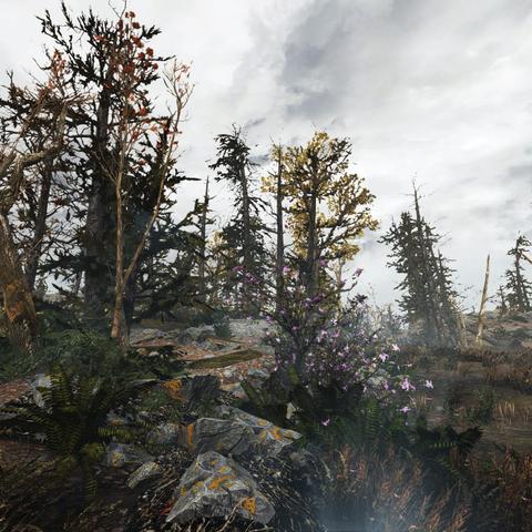 《辐射4》MOD收费更新引众怒，玩家热议新价值体验！