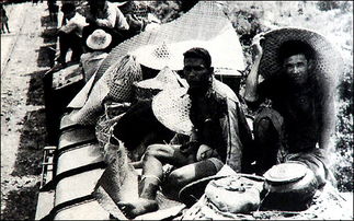 血腥暴力揭秘：中土世界成人战争影