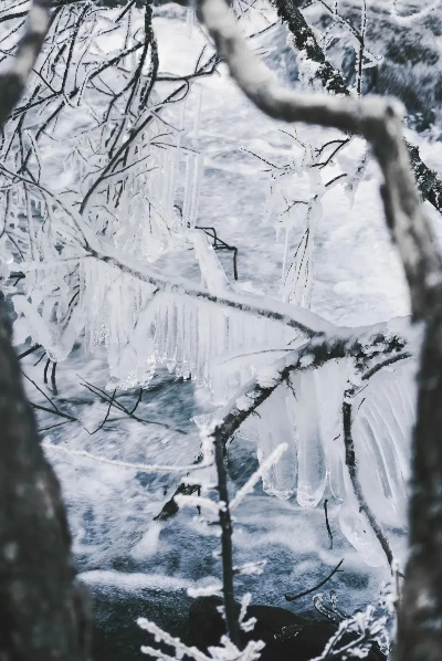 冬季谜境探险:揭秘冰雪秘境新篇章 冬季谜境探险:揭秘冰雪秘境新篇章