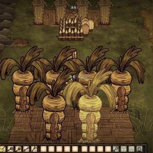 《饥荒》豪华基地速成攻略：打造顶级生存圣地