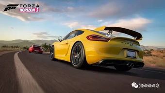极致速度，保时捷盛宴，地平线3独家车辆包震撼来袭