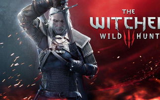 《尼尔:机械纪元》神级Mod升级,PC性能翻倍,畅玩新境界 《尼尔:机械纪元》神级Mod升级,PC性能翻倍,畅玩新境界