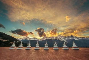 《雨世界》探险启航,揭秘沉浸式新体验! 《雨世界》探险启航,揭秘沉浸式新体验!