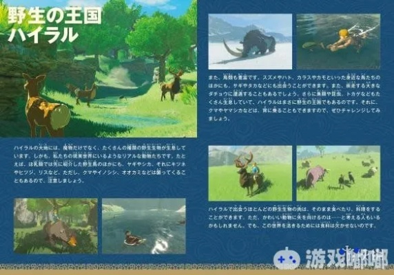 塞尔达荒野之息攻略牛！畅销榜首秘籍大公开