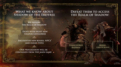 《艾尔登法环》神兽舞狮法师攻略：黄金树之影DLC高效战法解析