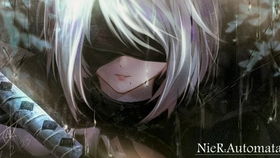 YoRHa精英2B指挥官:机械纪元新篇章揭秘 YoRHa精英2B指挥官:机械纪元新篇章揭秘