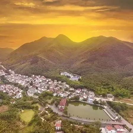 旋律重生,古树再响,Switch版《动听旋律》新篇章绽放 旋律重生,古树再响,Switch版《动听旋律》新篇章绽放